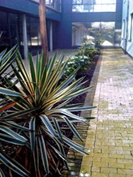 muddy boots landscaping Sleepers Beds and Borders